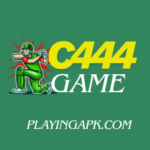 C444 Game
